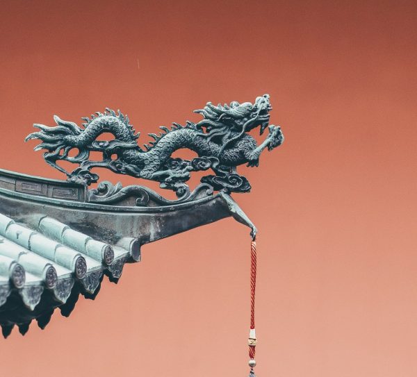 annie-spratt-rdVLN3UFmpU-unsplash annie-spratt-rdVLN3UFmpU-unsplash