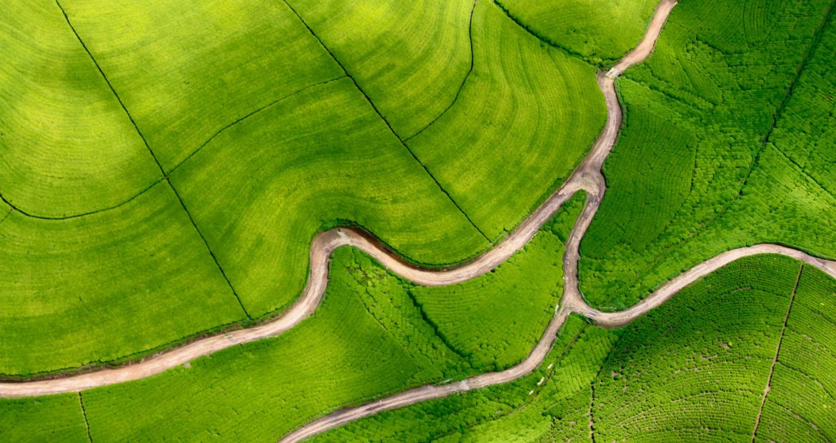 rowan-simpson-Bo7aDZlq270-unsplash rowan-simpson-Bo7aDZlq270-unsplash