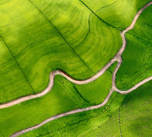 rowan-simpson-Bo7aDZlq270-unsplash rowan-simpson-Bo7aDZlq270-unsplash