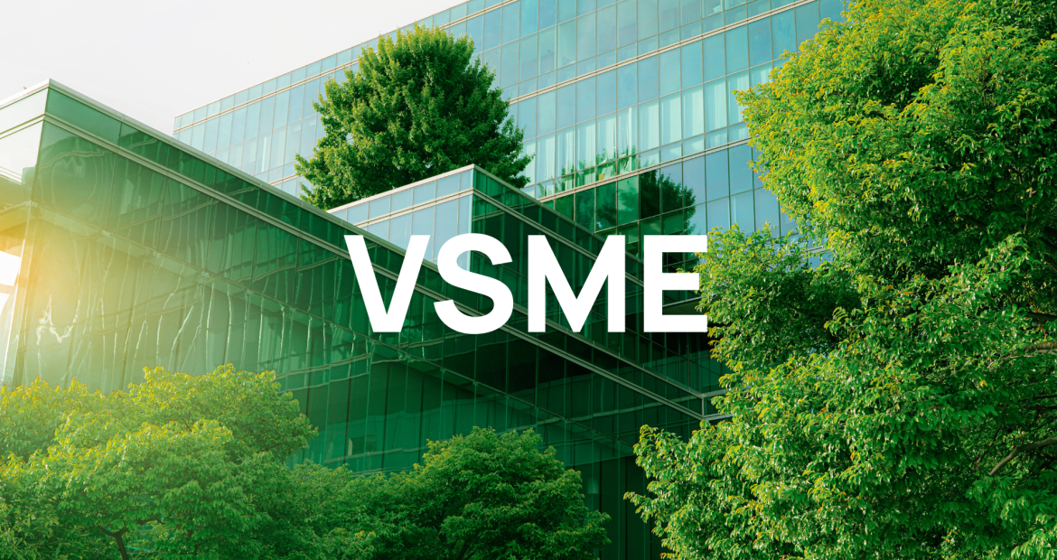 vsme