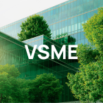 vsme
