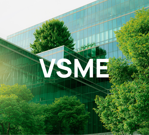 vsme